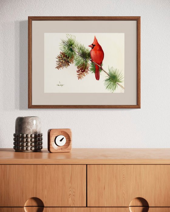 Cardinal Bird on Pine Tree