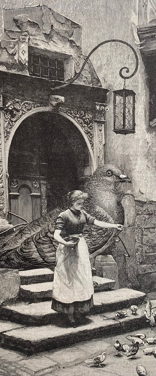 Roman Doves and Pigeon by Tudor Evans