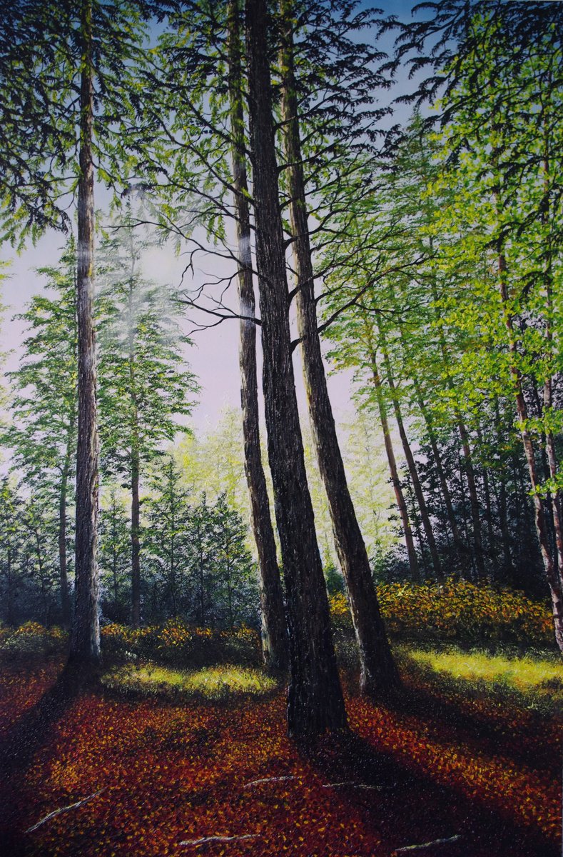Impressionistic Landscape Oil Painting By Hazel Thomson, 39 X 59, Light Through The Trees, Original Artwork