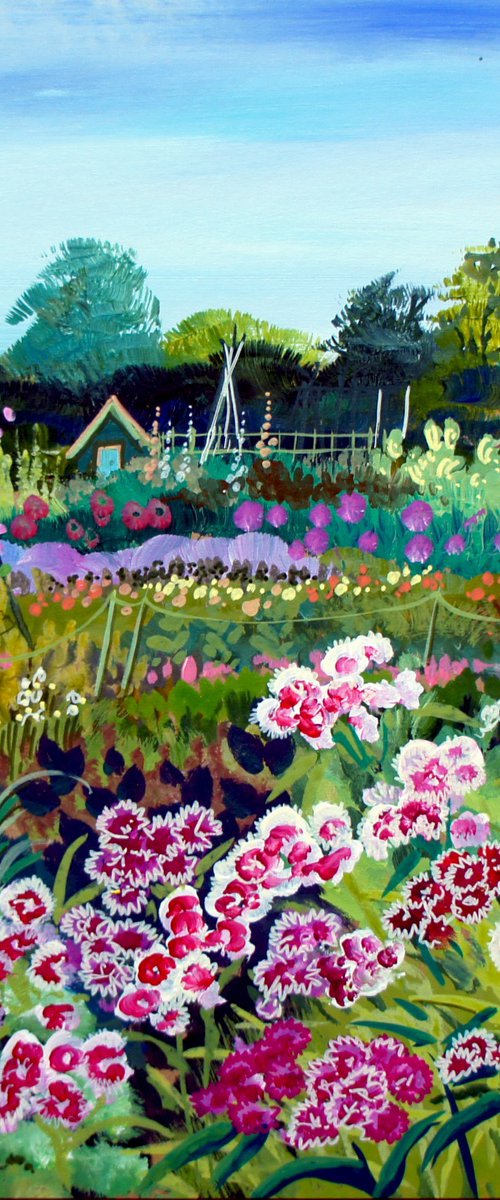 Sweet William at the Allotments by Julia  Rigby
