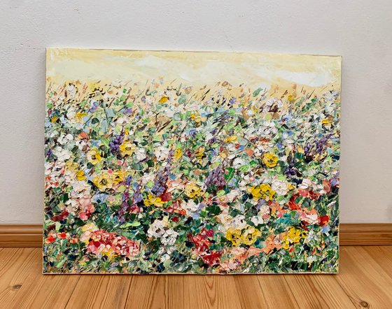 Colorful summer Field