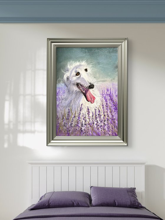 Dog Portrait Lavanda Field