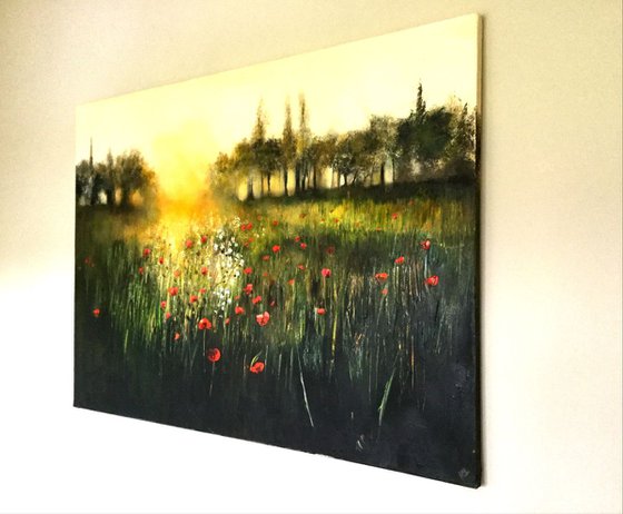 The Last of the Poppies