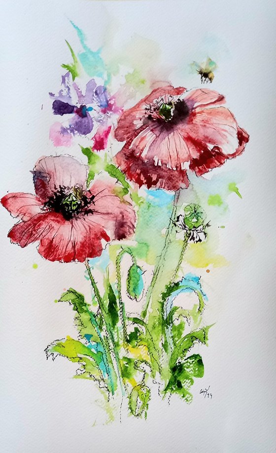 Red poppies with bee