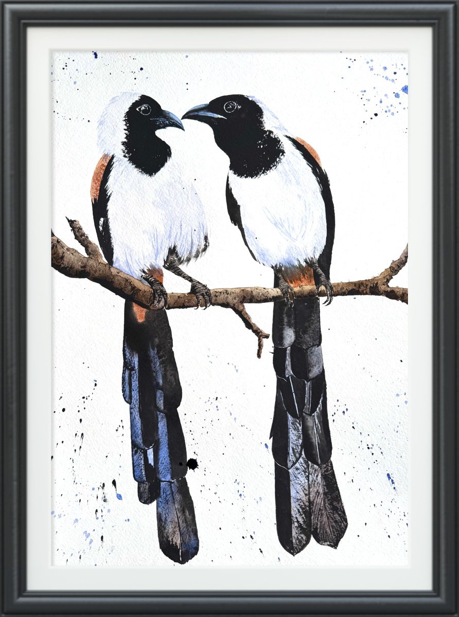 Impressionistic Animal Watercolour By Yuliia Sharapova, 16 X 20", White-Bellied Treepie Birds, Original Artwork