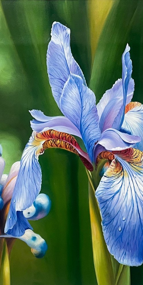 Beautiful flowers t268 by Kunlong Wang