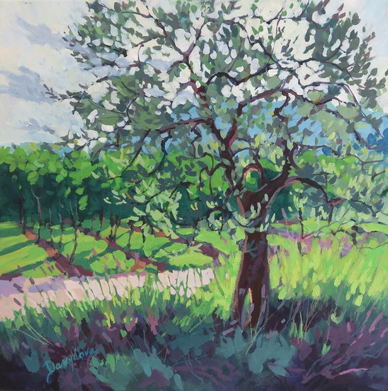 Olive Tree and Vineyard