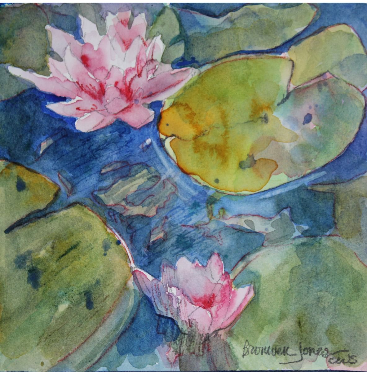 Lily study #4 by Bronwen Jones