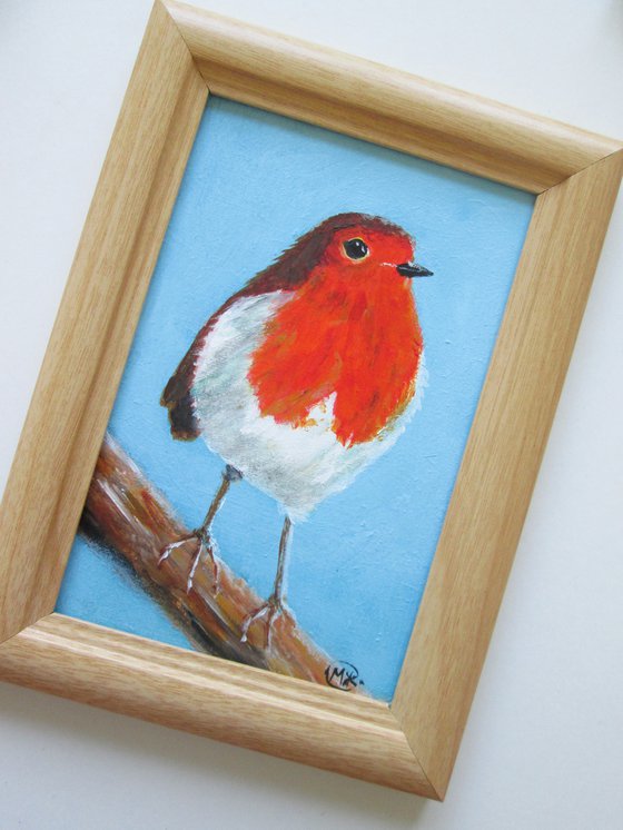 Robin Garden Bird