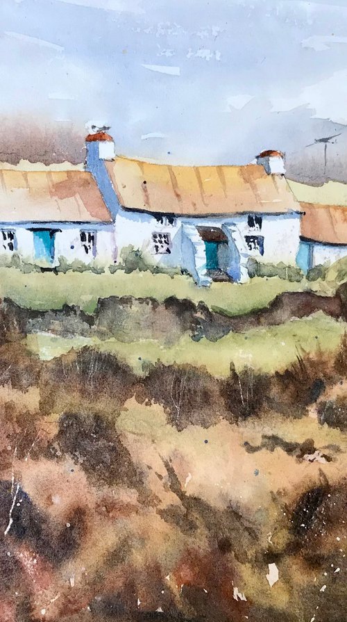 Pembrokeshire Cottages by Vicki Washbourne