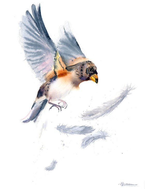 Birds And Feathers - triptych