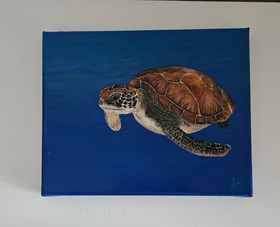 Seaturtle