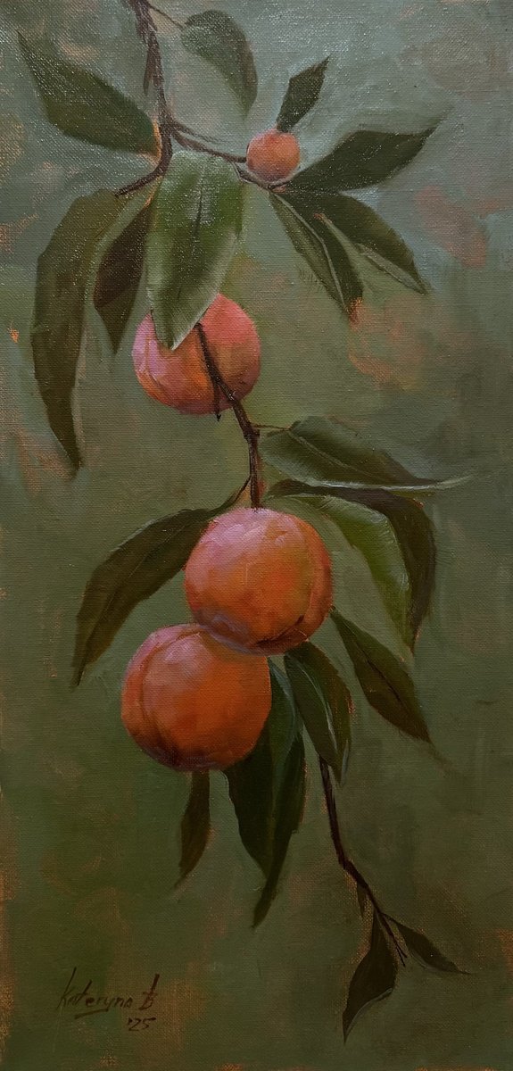 Fuzzy peaches by Kateryna Boykov