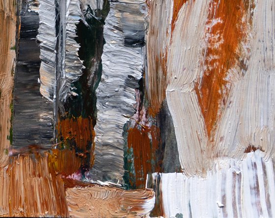 Winter Birch Trees