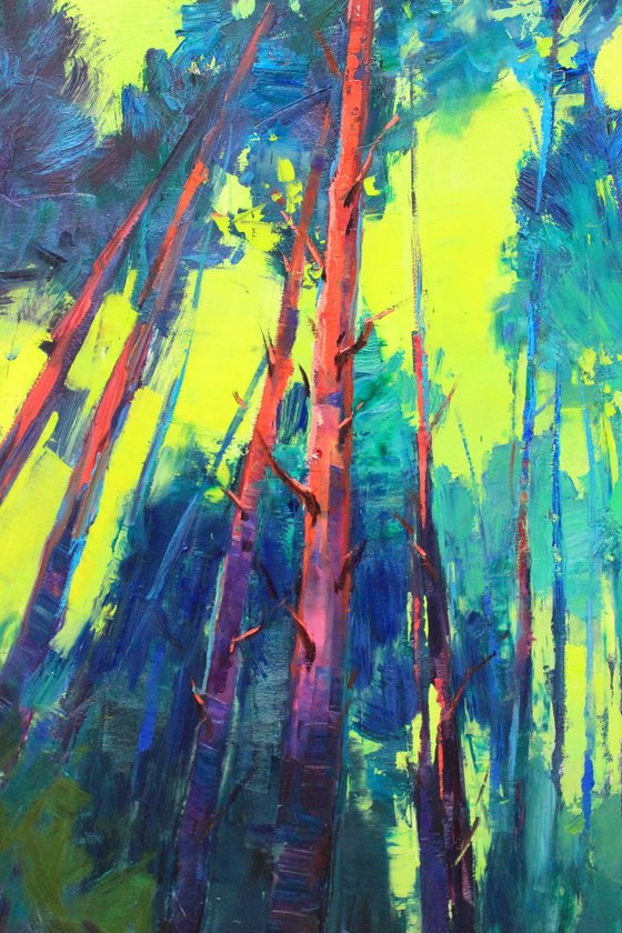 Pine Forest