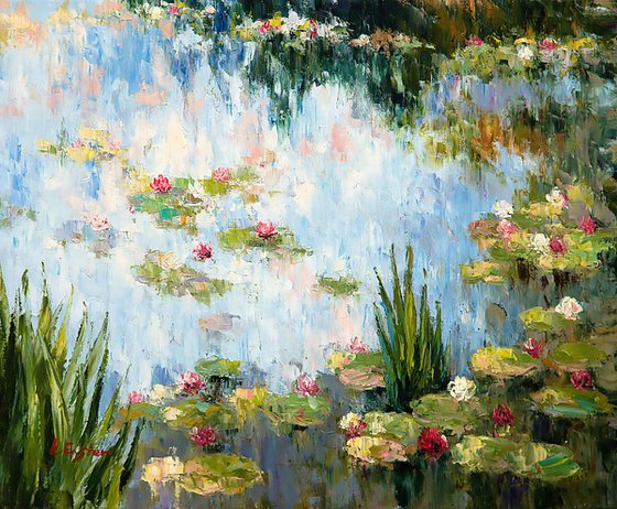 Water Lilies