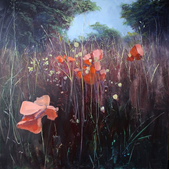 'Poppy Field Dawn' Poppies, Landscape, Oil Painting.