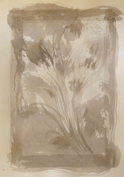Transparent Bouquet, 21x29 cm by Frederic Belaubre