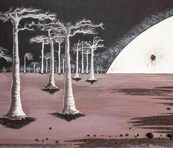 Baobabs in moonlight