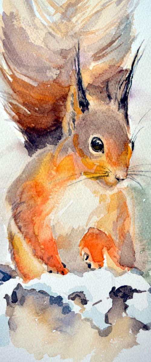 Red Squirrel by Irina Ushakova