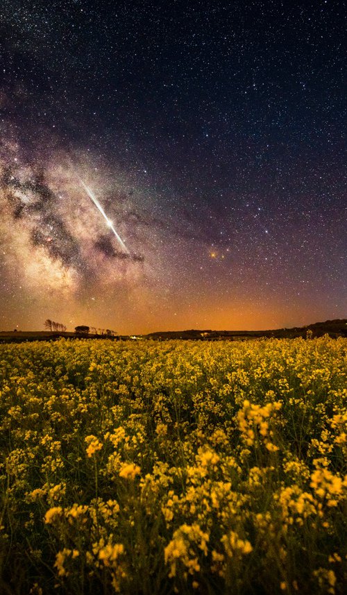 'Fields of May' Milky Way Print by Chad Powell