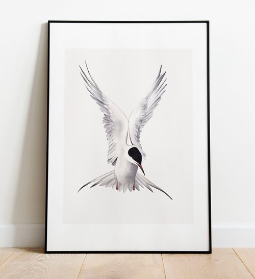 Arctic Angel by Viktoryia Zhuleha
