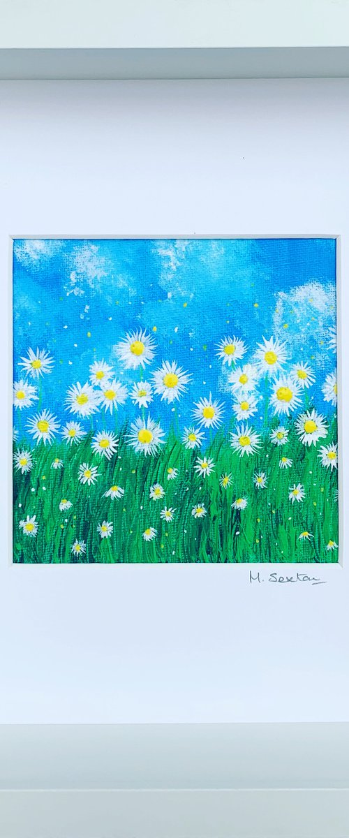 Miniature Daisies IV by Miki Sexton