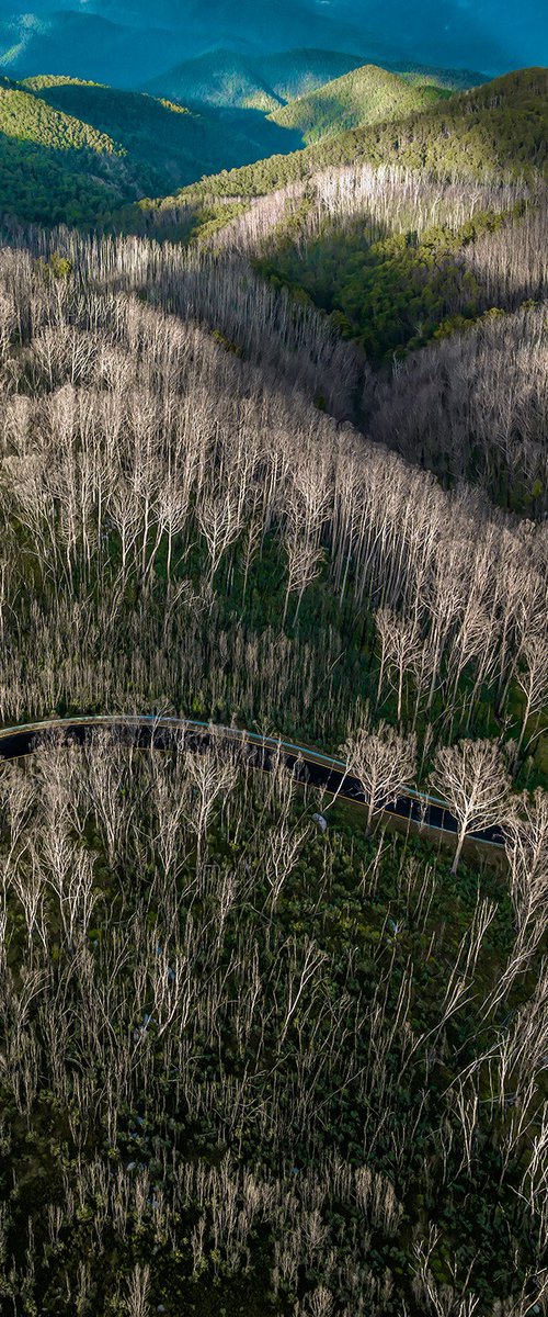 Majestic Mountain Drive by Nick Psomiadis