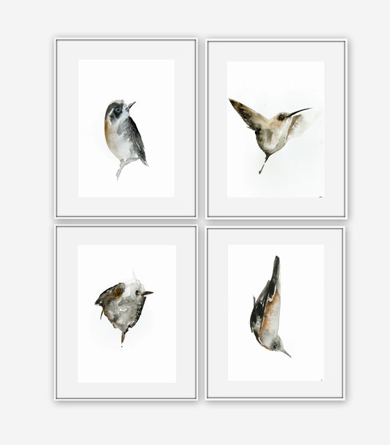 Set of 4 Bird paintings.