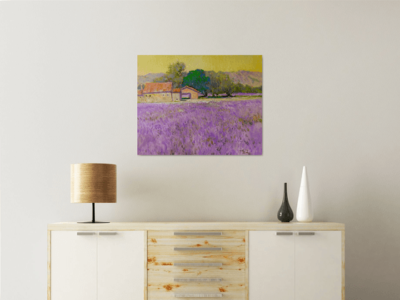 Lavender Field