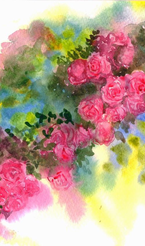 Spring Roses on a creeper 10"x 7" by Asha Shenoy