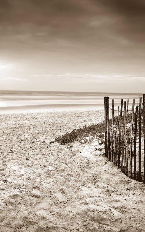 "Dune Fence" S by John McManus