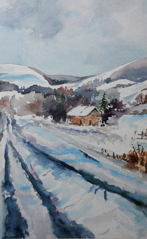 WINTER BEAUTY by Zoran Mihajlović Muza