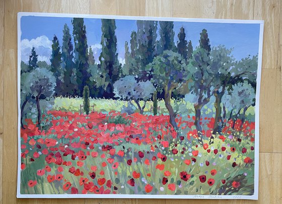 Poppy carpet
