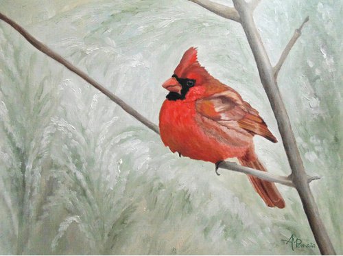 Winter Cardinal by Angeles M. Pomata