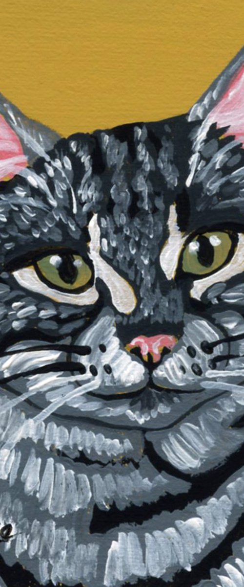 Gray Tabby Cat by Carla Smale