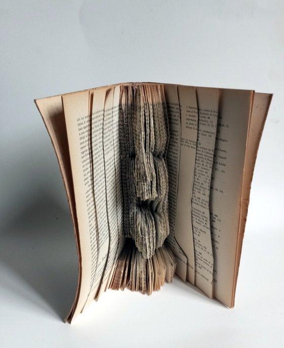 Screaming book