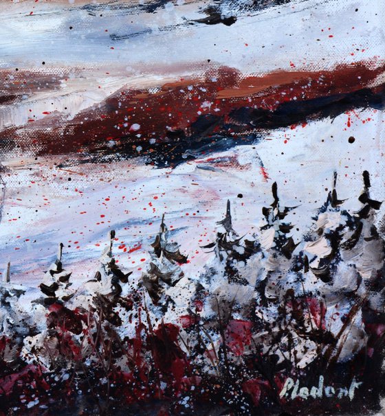 Winter landscape 5423