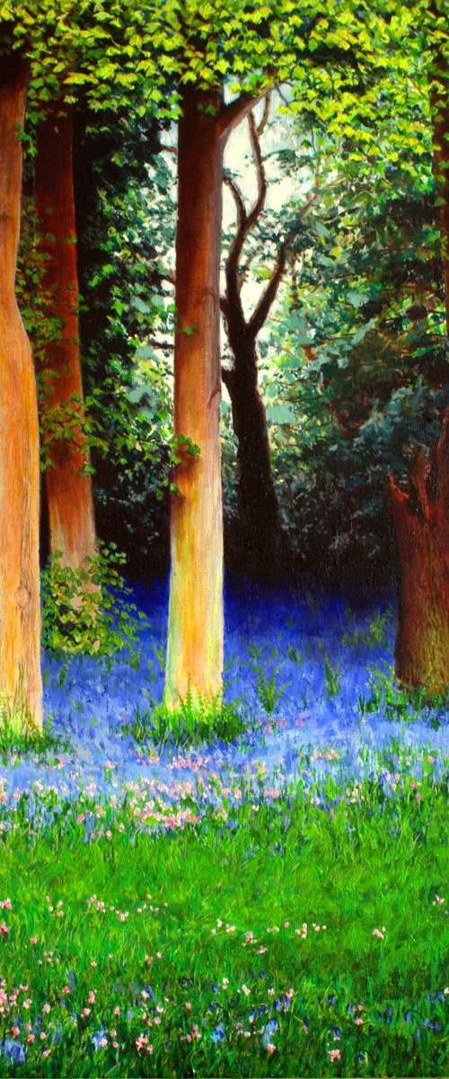 Spring Woodland Walk by JON PAUL WILSON