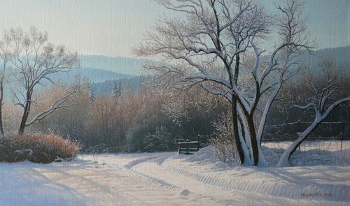 Imprint in the snow by Mlynarcik Emil