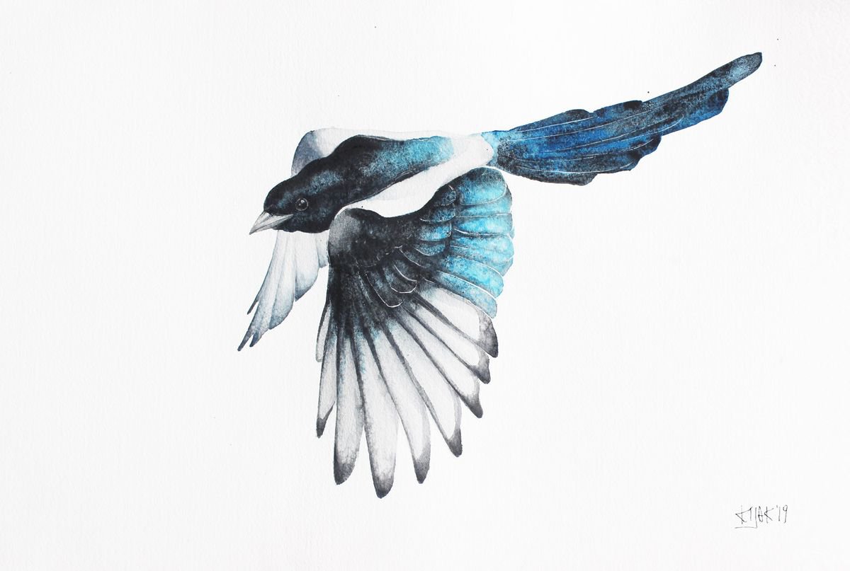 Magpie bird, wildlife, birds watercolours by Karolina Kijak