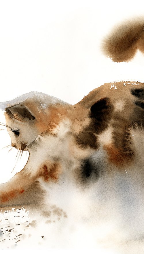 Playing Cat by Sophie Rodionov