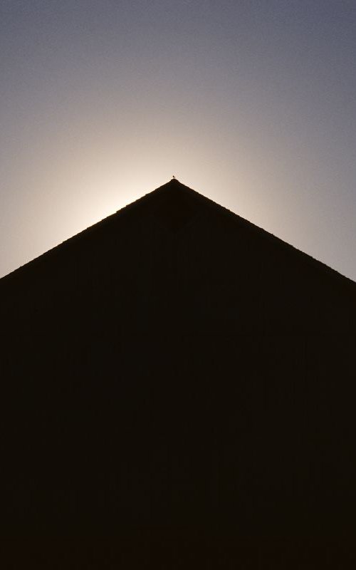 Barn Silhouette #4, With Bird by James Cooper Images