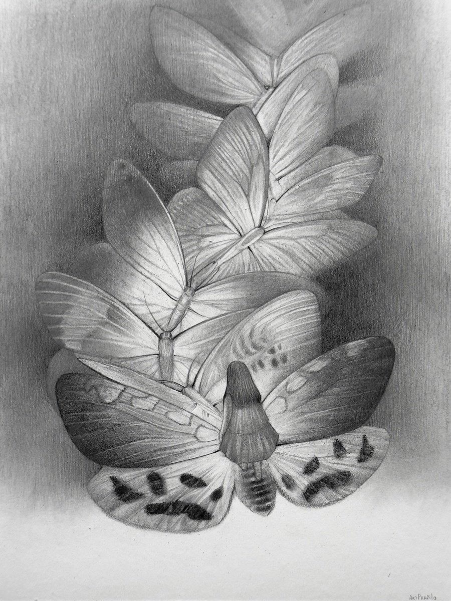 Surrealistic Pencil Drawing , Paved Path By Anastasia Parfilo, 12 X 16, Artwork For Sale On Artfinder
