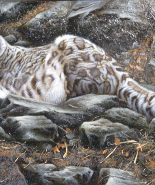 Black and White Jaguar by GOUYETTE jean-michel