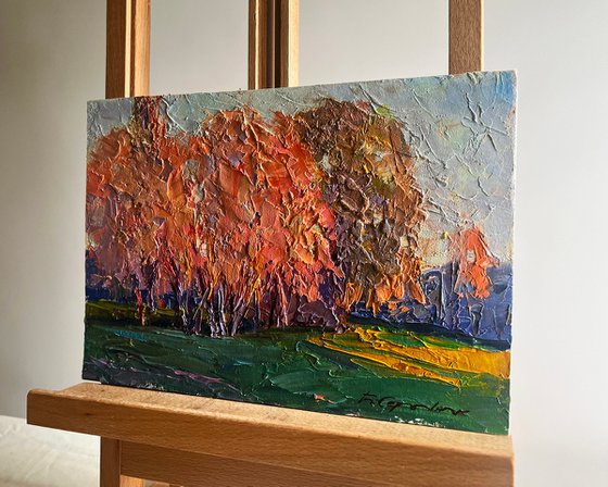 Autumn Evening in the Forest