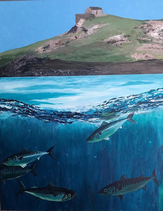 Mackerel at Porthmeor