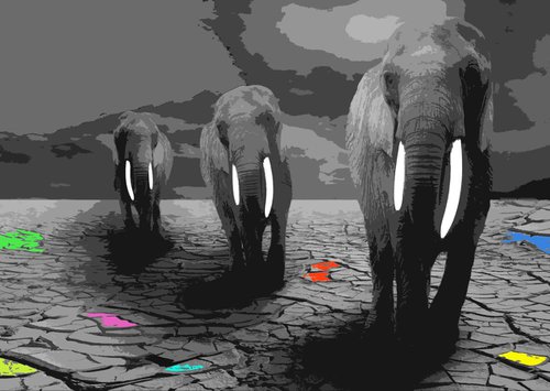 Elephants by Alistair Wells