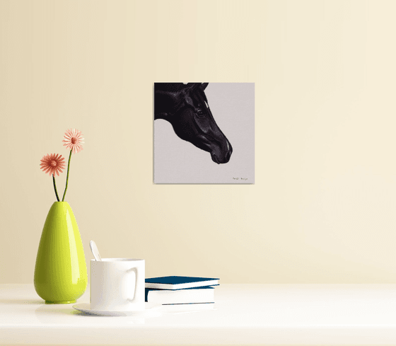 Horse Portrait 26