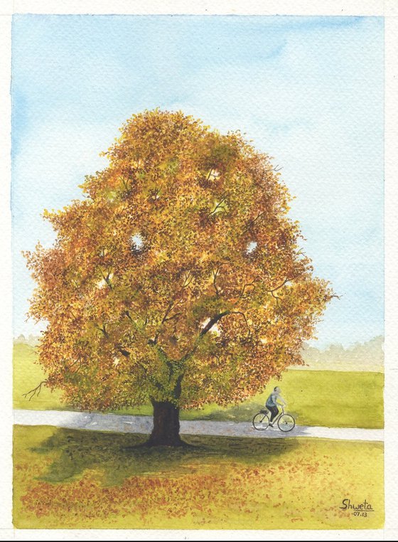 Collection of trees IV